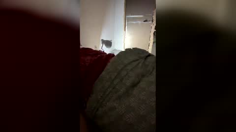 drzinedaj online show from 8, 3, 2026