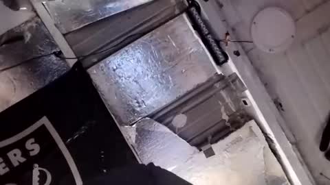 dsmock online show from 15, 2, 2026