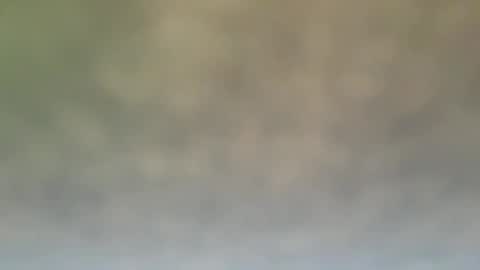 Snapshot of dt51114 chatting on 21, 12, 2024 StraightStroker online show from 21, 12, 2024