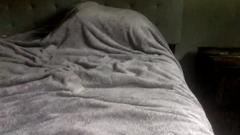 Dub online show from 11, 4, 2026