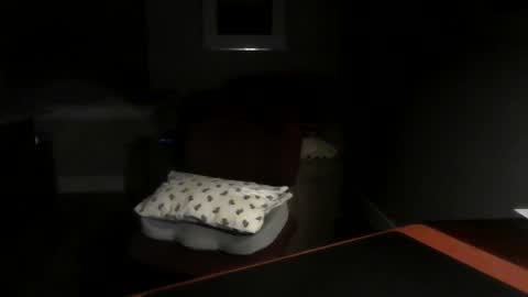 Snapshot of dubl55nikl chatting on 3, 12, 2024 DublNikl online show from 3, 12, 2024