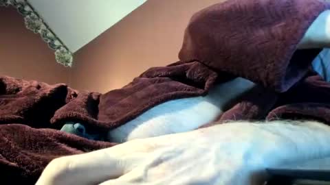 Snapshot of dug38 chatting on 16, 11, 2025 Doug online show from 16, 11, 2025