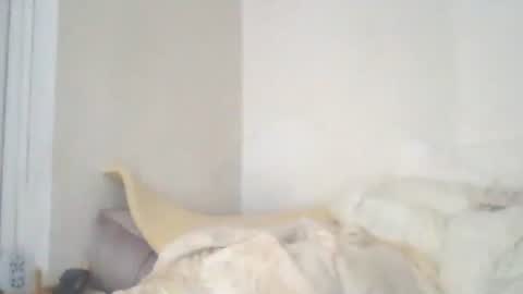 Snapshot of dukenucum73 chatting on 29, 12, 2024 chris online show from 29, 12, 2024