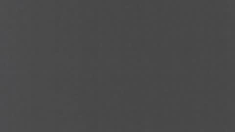 Jleeni online show from 3, 12, 2025