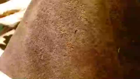 dunany101 online show from 28, 1, 2025