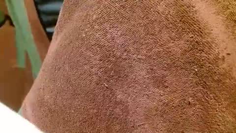 dunany101 online show from 7, 3, 2025