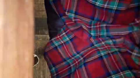 dVe1oPe online show from 11, 4, 2026