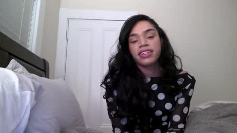 Snapshot of dynasty313 chatting on 15, 12, 2024 Dynasty online show from 15, 12, 2024