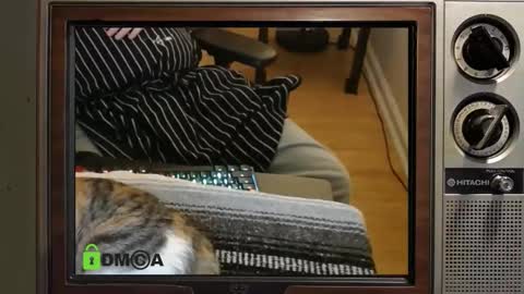 Snapshot of e8849c chatting on 8, 11, 2025 e8849c online show from 8, 11, 2025