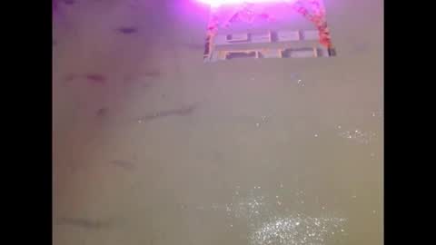 Snapshot of eatuupx chatting on 19, 12, 2025 eatuupx online show from 19, 12, 2025