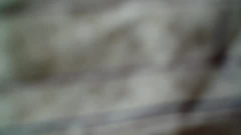 Snapshot of eddfox001 chatting on 14, 6, 2026 eddfox001 online show from 14, 6, 2026
