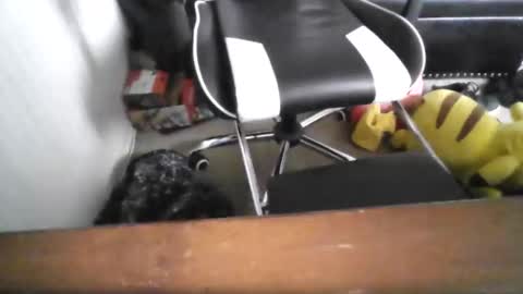 Snapshot of eddy815 chatting on 24, 11, 2025 eddy815 online show from 24, 11, 2025