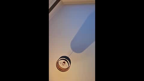 Snapshot of edinburgh79 chatting on 4, 4, 2026 edinburgh79 online show from 4, 4, 2026