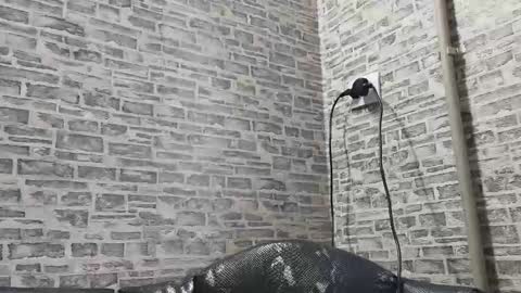 Snapshot of edithmanning chatting on 10, 2, 2025 edithmanning online show from 10, 2, 2025