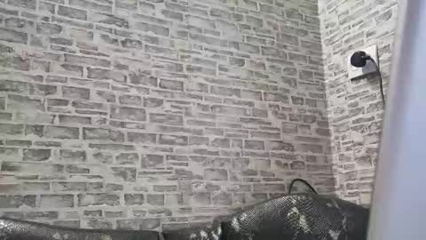 Snapshot of edithmanning chatting on 18, 2, 2025 edithmanning online show from 18, 2, 2025