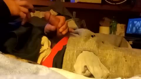 edmore1215 online show from 14, 1, 2025