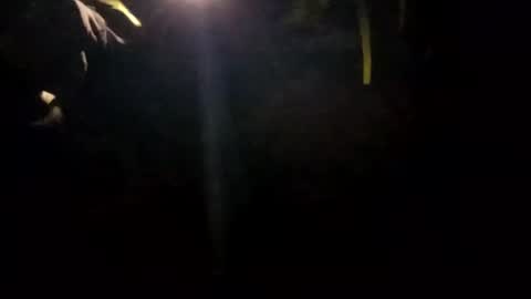 edmore1215 online show from 14, 1, 2025