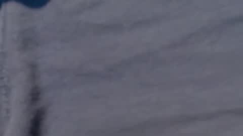 eeyoreeeyore online show from 5, 2, 2026