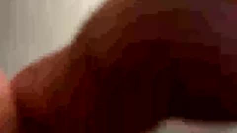 Snapshot of ejbooker11 chatting on 3, 5, 2026 PiedPiper online show from 3, 5, 2026