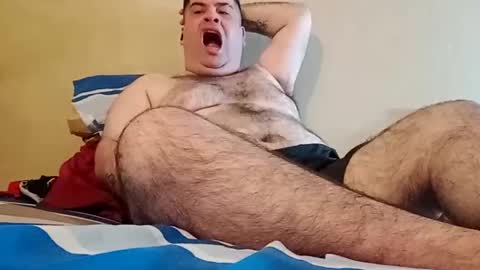 Sebastin online show from 17, 12, 2024