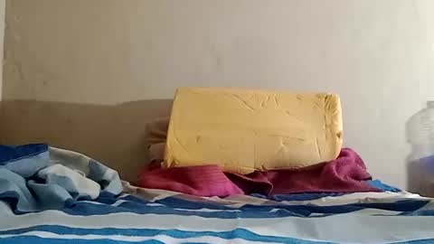 Sebastin online show from 31, 10, 2025