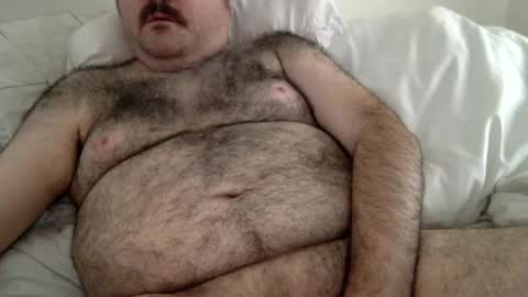 elabear online show from 19, 6, 2026