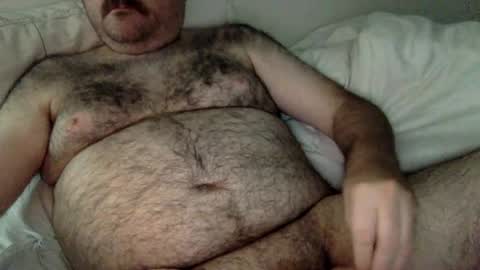 elabear online show from 22, 6, 2026
