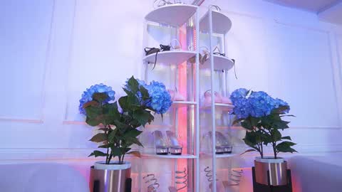 Elasummeer online show from 13, 2, 2026