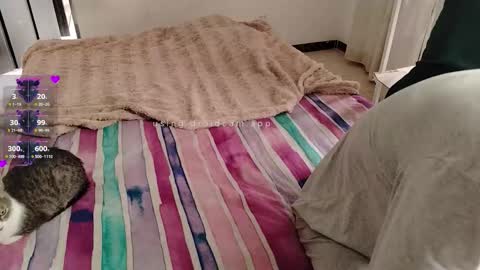 Elektra and Konan online show from 28, 11, 2025