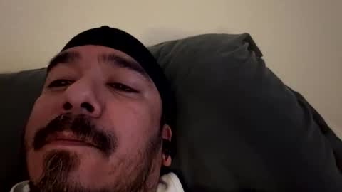 elgatonegrodelah online show from 24, 2, 2026