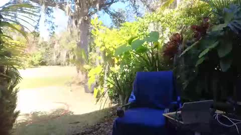 eliberator online show from 9, 2, 2025