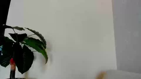 Snapshot of eliza_sanz chatting on 8, 9, 2025 My name is ElizaPVT is open online show from 8, 9, 2025