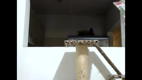 Elizabeth Martinez  online show from 19, 1, 2025