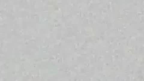 Ellie online show from 8, 6, 2026