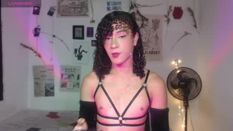  . online show from 18, 12, 2025