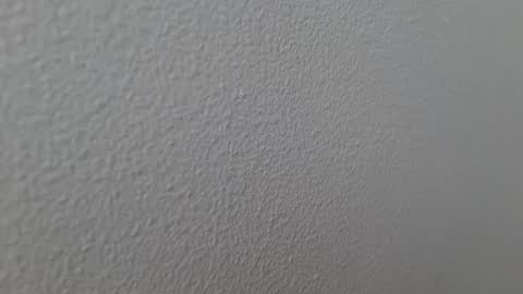 elosocazador online show from 13, 12, 2024