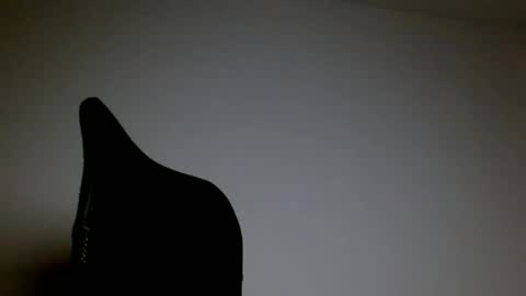 elosocazador online show from 21, 4, 2026