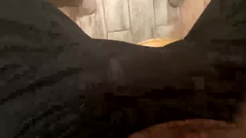 El Parador online show from 8, 12, 2024