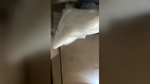 elpresi253 online show from 21, 4, 2026