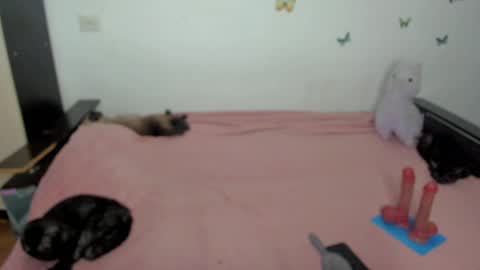 Snapshot of elsamails chatting on 1, 5, 2026 Elsa online show from 1, 5, 2026
