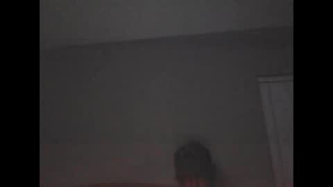 elwooood7 online show from 28, 1, 2025