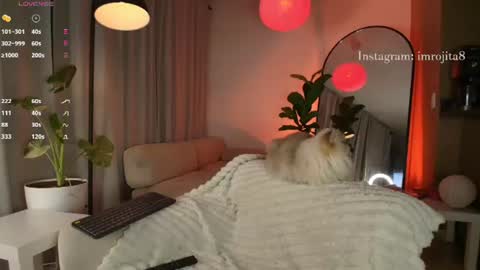 Snapshot of emam_taylor_ chatting on 25, 6, 2026 IG imrojita8 online show from 25, 6, 2026