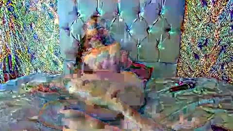 Emilia Gomez online show from 27, 2, 2025