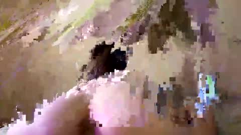 Emily online show from 26, 9, 2025