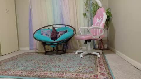 emily haze online show from 8, 11, 2025