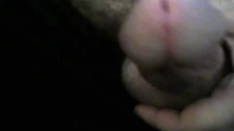 Snapshot of engin_83 chatting on 5, 6, 2026 engin_83 online show from 5, 6, 2026