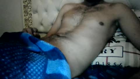 englisharabcock online show from 22, 2, 2026