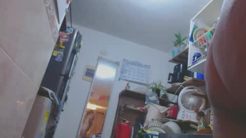 estelamaris online show from 11, 3, 2025