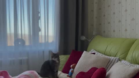 Snapshot of estella_elwood chatting on 3, 2, 2026 Estella online show from 3, 2, 2026