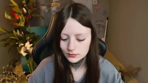 kelt0901 - my channel in telegra online show from 26, 2, 2025